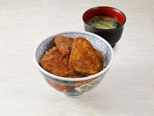 ソースカツ丼(並)/南条SA【下り】