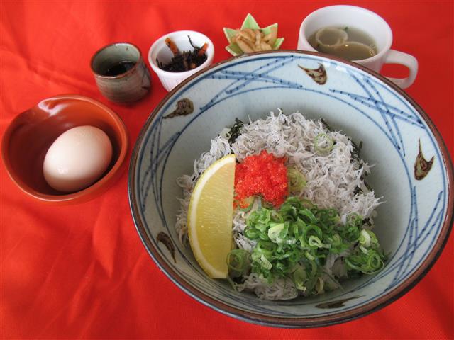 釜揚げしらす丼/伊予灘SA【下り】