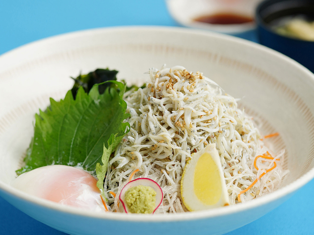淡路島産しらすと鳴門産わかめの丼/淡路SA【下り】